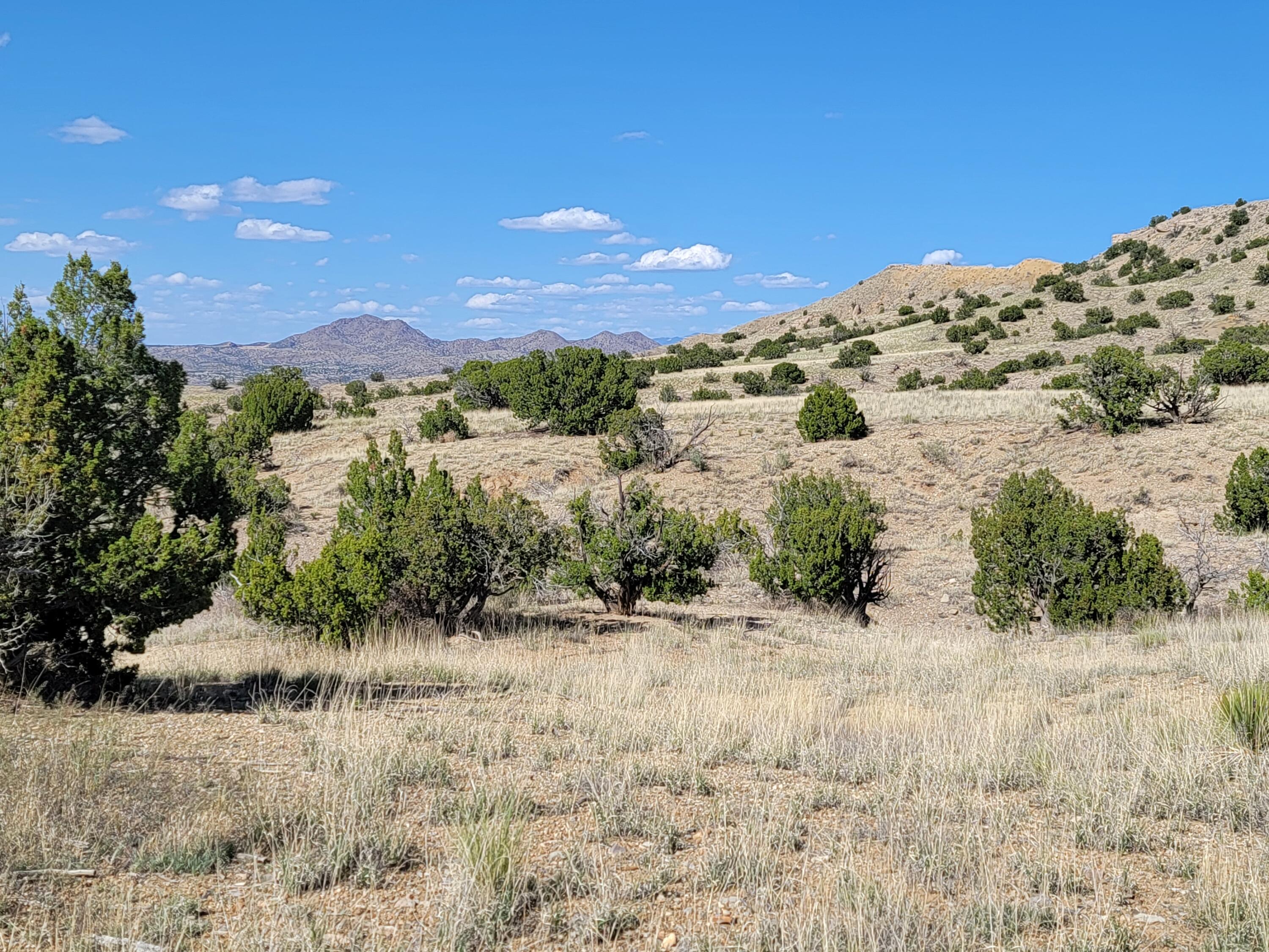 Homes for sale in Madrid, NM | 00 Via Sol Estrella, Madrid, NM 87010 | MLS# 1010976