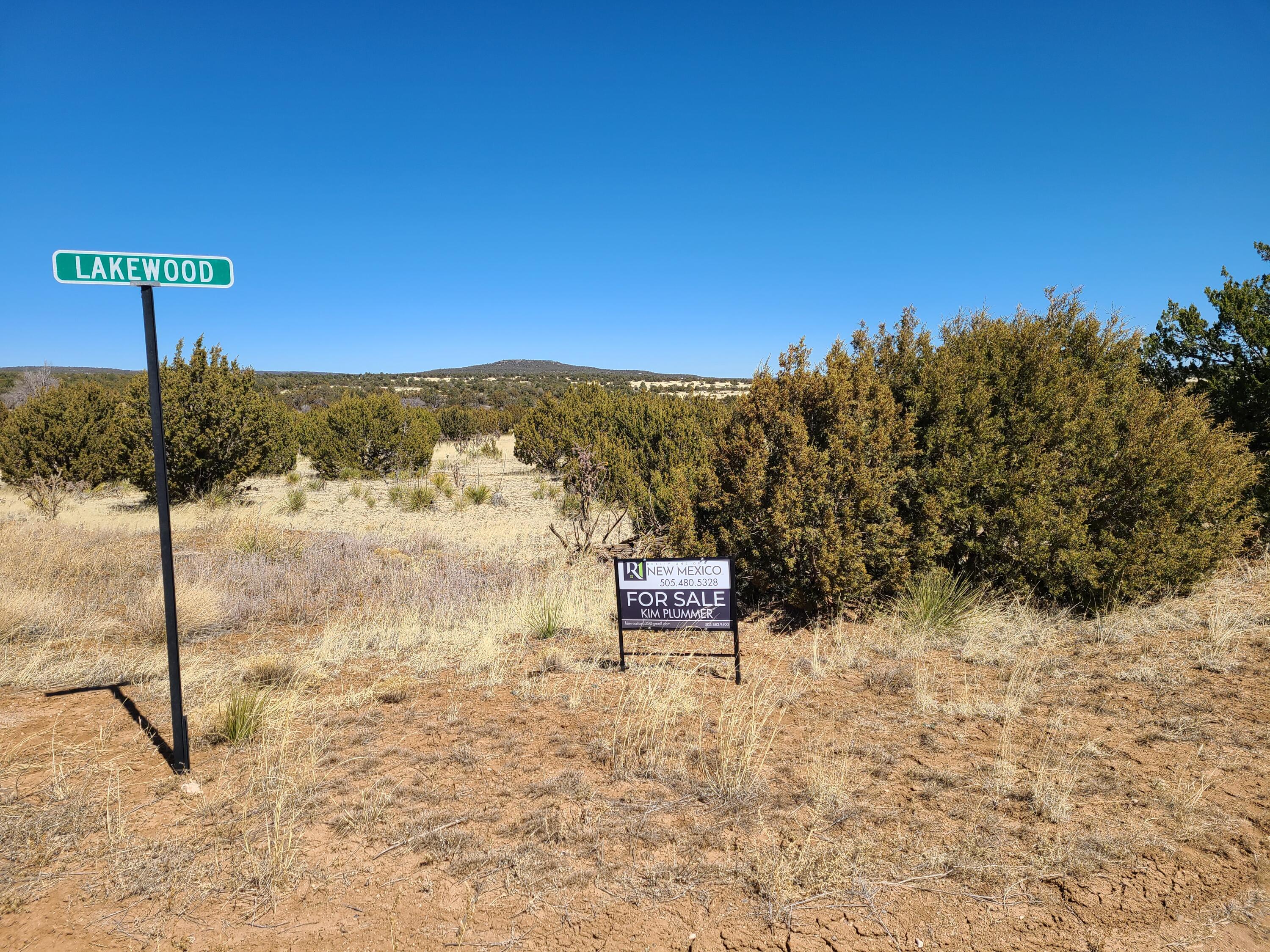 Homes for sale in Tajique, NM | 0 Lakewood Rd #20, Tajique, NM 87016 | MLS# 1011060