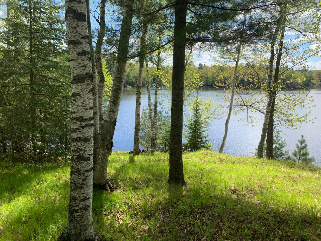 Hancock Lake Property ON Dombrowski Rd Photo 1