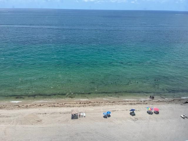Looking down at the beach from the living room.
