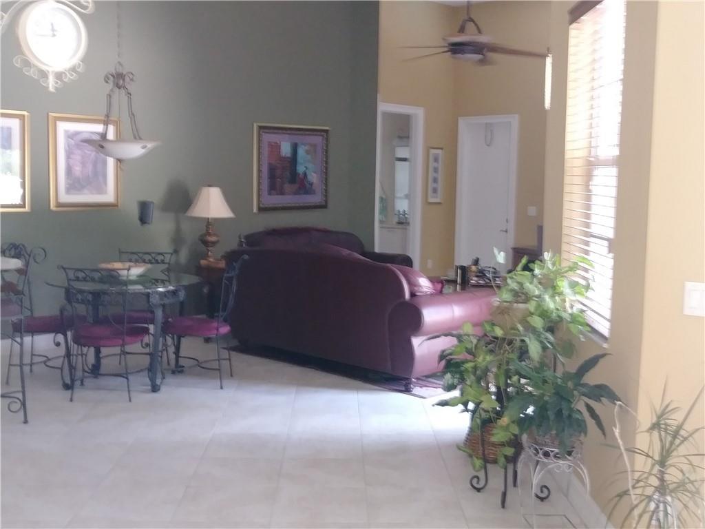 View from Living room