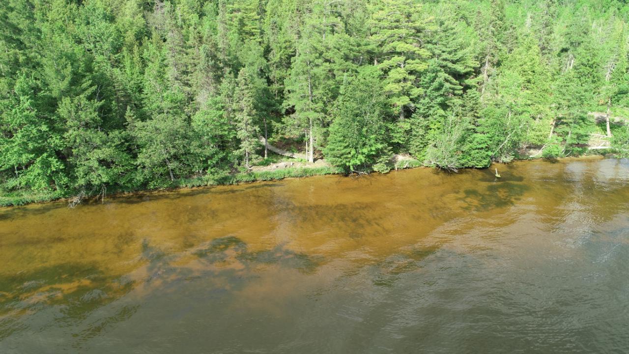 Catfish Lake Property Lot 2 Everett Rd Photo 1