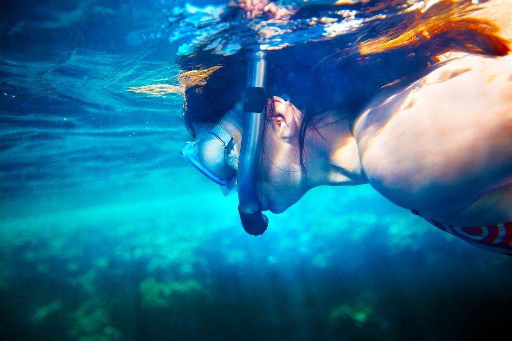 snorkel the many reefs off our beaches