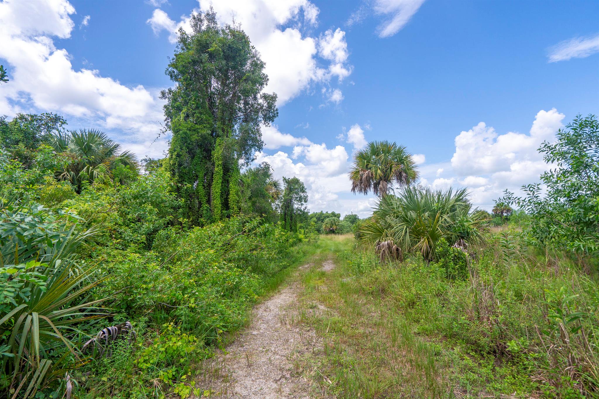 Homes for sale in Loxahatchee, FL | Xxx Bob Cat Lane, Loxahatchee, FL 33470 | MLS# R10827932