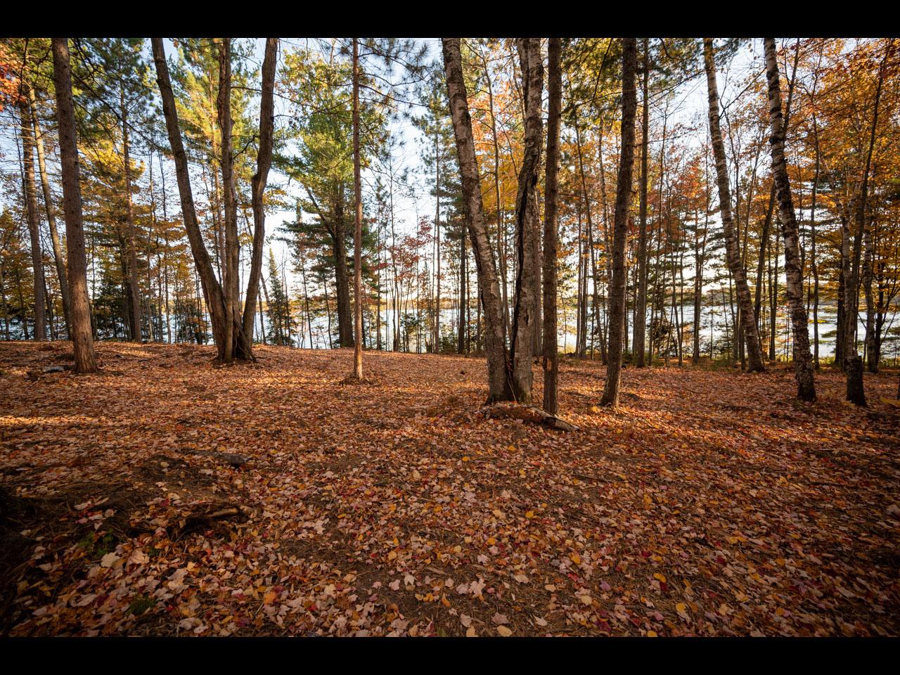 Clearwater Lake Property 145-147 Kindling Pt Photo 1