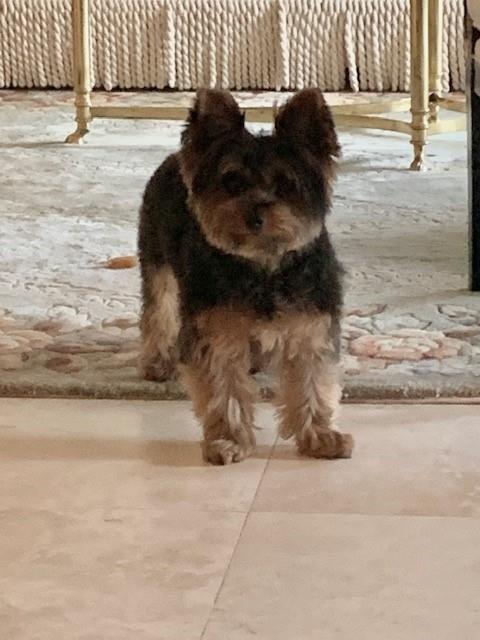 Pet friendly building. 2 pets up to 25 lbs. each