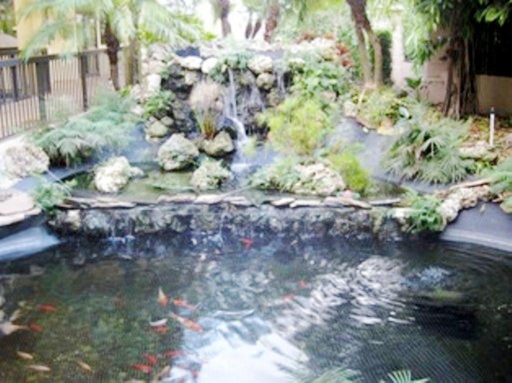 Koi pond that greet at the beautiful entryway.