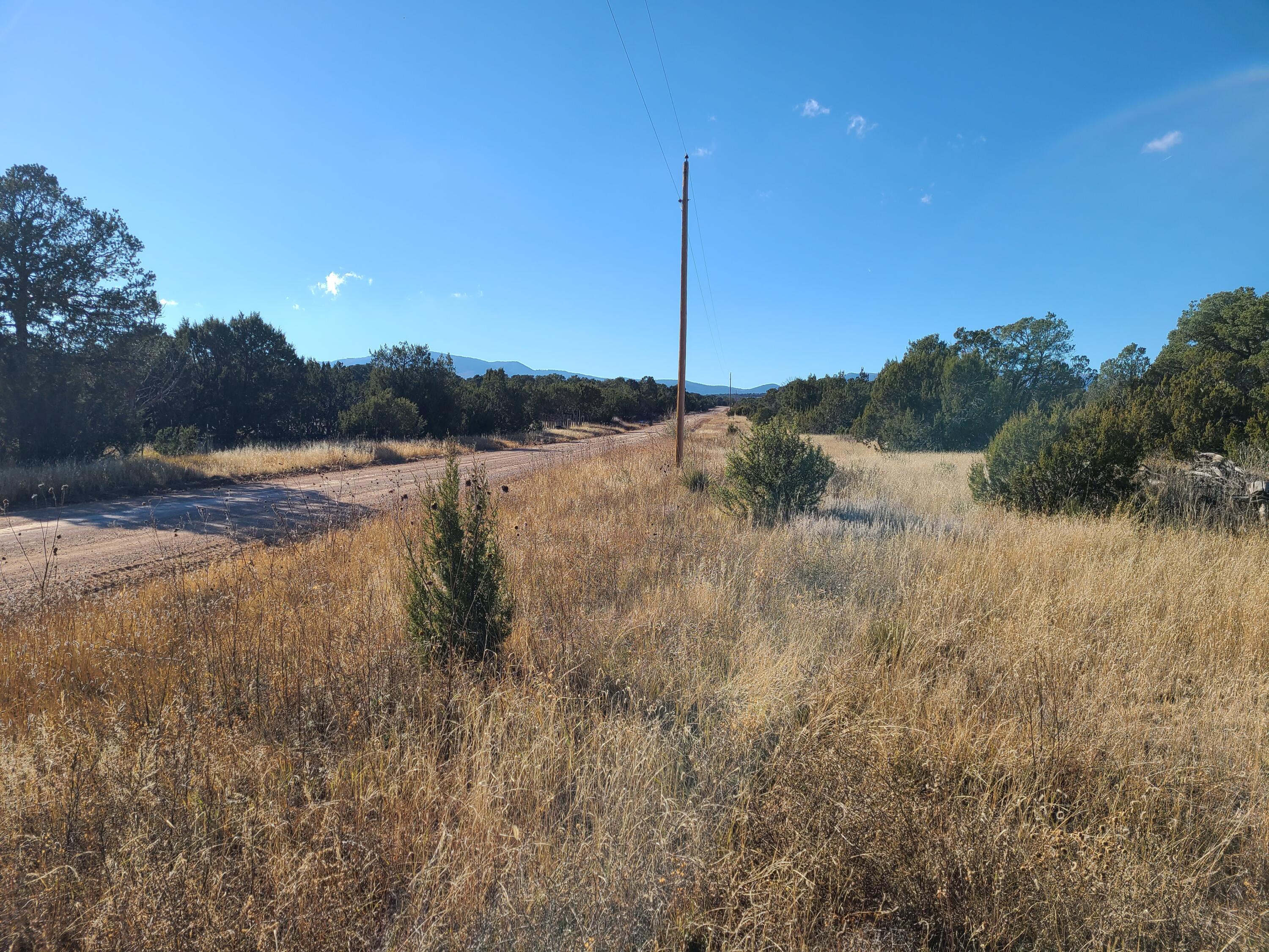 Homes for sale in Tajique, NM | 0 County Rd A012 #14, Tajique, NM 87016 | MLS# 1026069