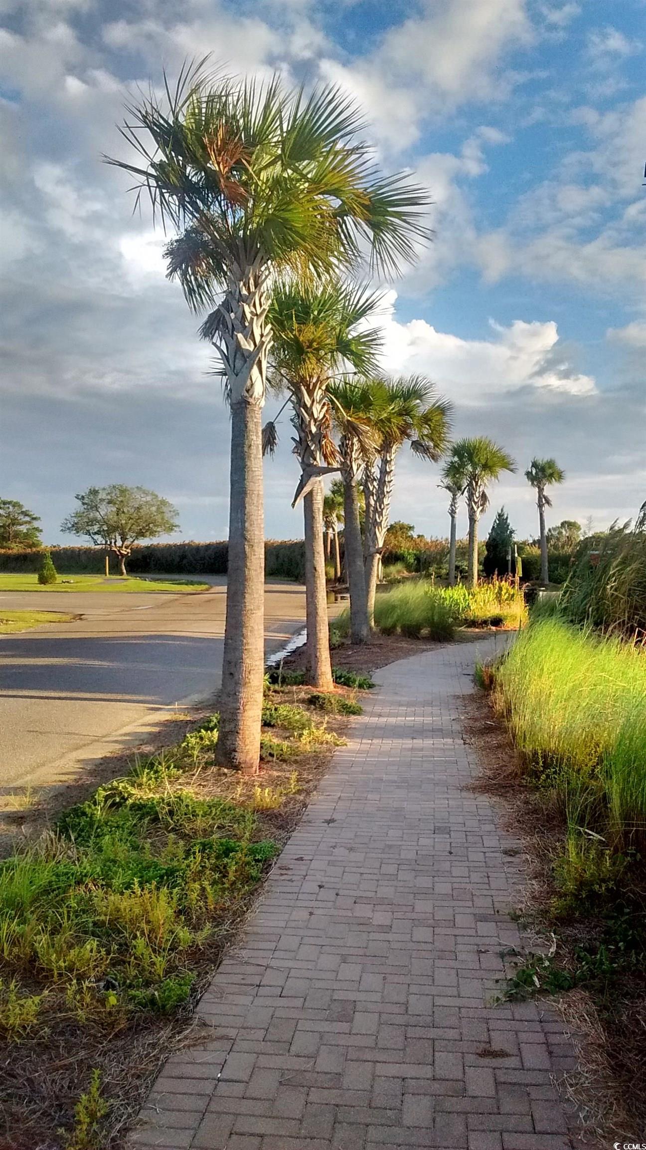 2225486 | Photo 33