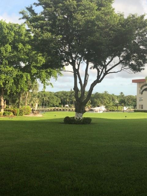 View from patio and second bedroom to greenery and ICW