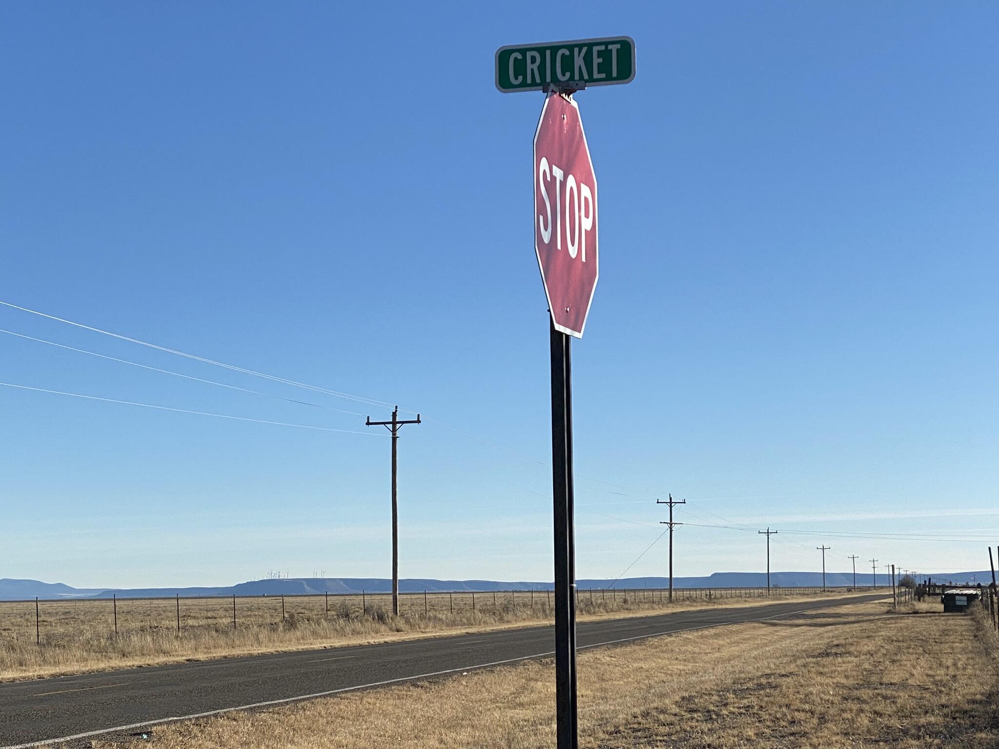 Homes for sale in Estancia, NM | Cricket, Lot 8 Ln, Estancia, NM 87016 | MLS# 1027009