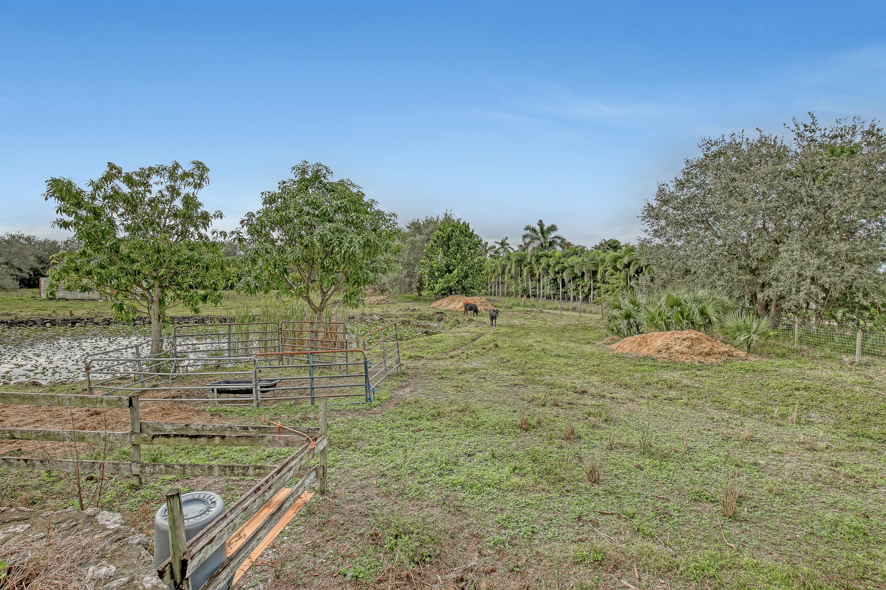 Homes for sale in Wellington, FL | 16494 Deer Path Lane, Wellington, FL 33470 | MLS# R10859572