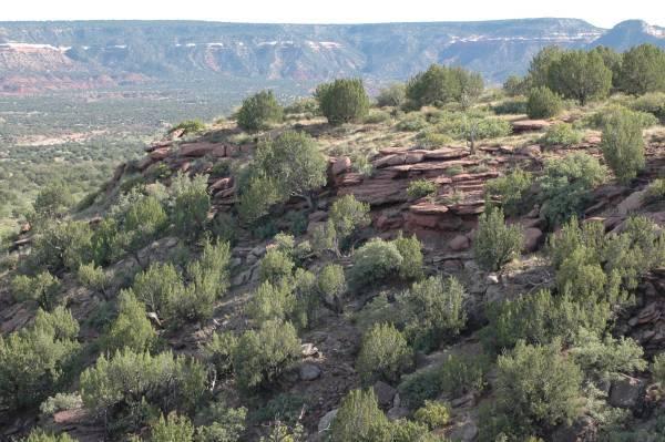 Homes for sale in Newkirk, NM | 18 Mesquite Ln, Newkirk, NM 88431 | MLS# 1029167