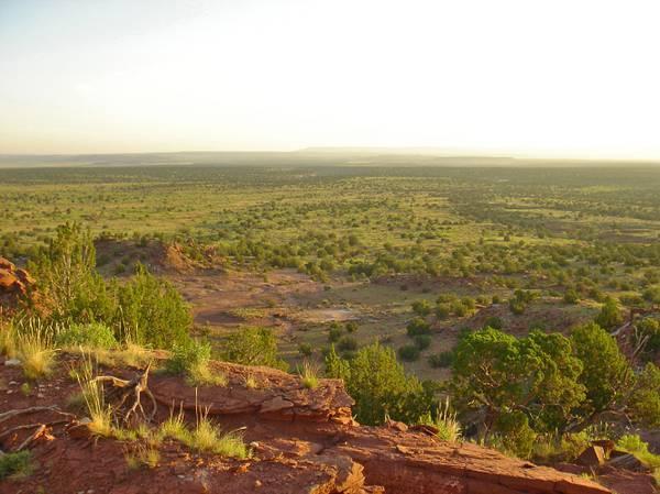 Homes for sale in Newkirk, NM | 18 Mesquite Ln, Newkirk, NM 88431 | MLS# 1029167