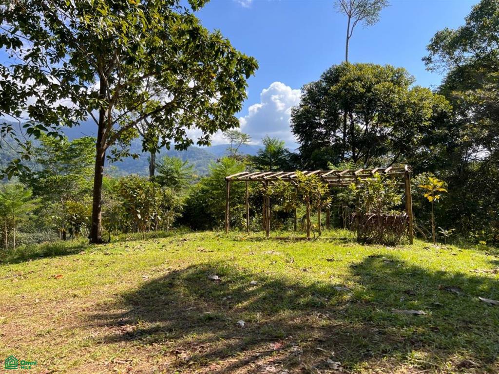 0 bed Land For Sale in Osa, Puntarenas - 1