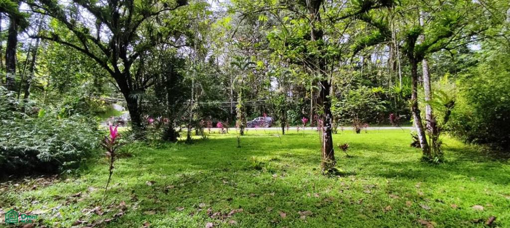 0 bed Land For Sale in Osa, Puntarenas - 1