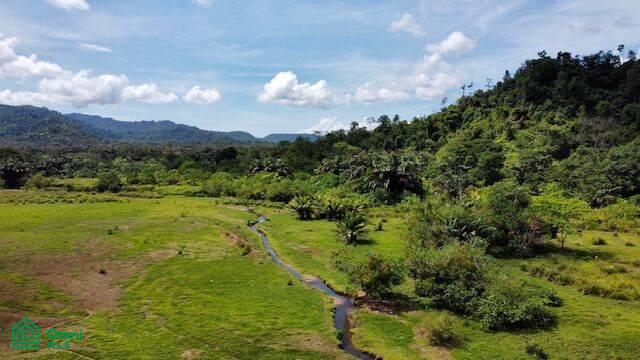 0 bed Land For Sale in Osa, Puntarenas - 1