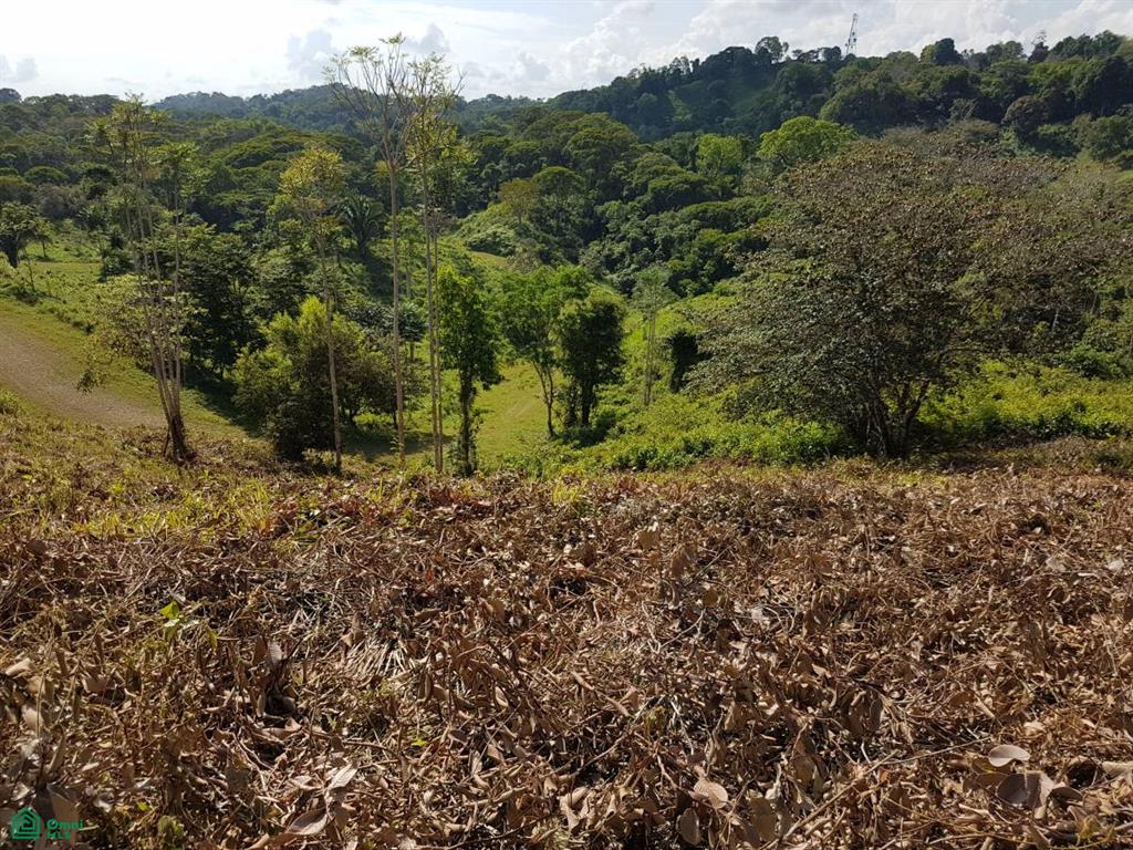 0 bed Land For Sale in Osa, Puntarenas - 1