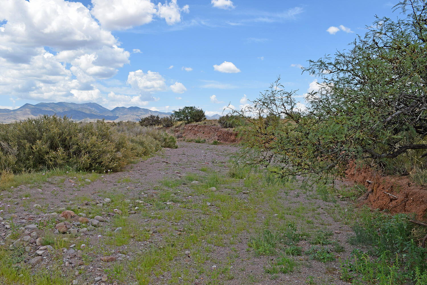 Homes for sale in San Antonio, NM | 205 Muledeer Trl, San Antonio, NM 87832 | MLS# 1031088