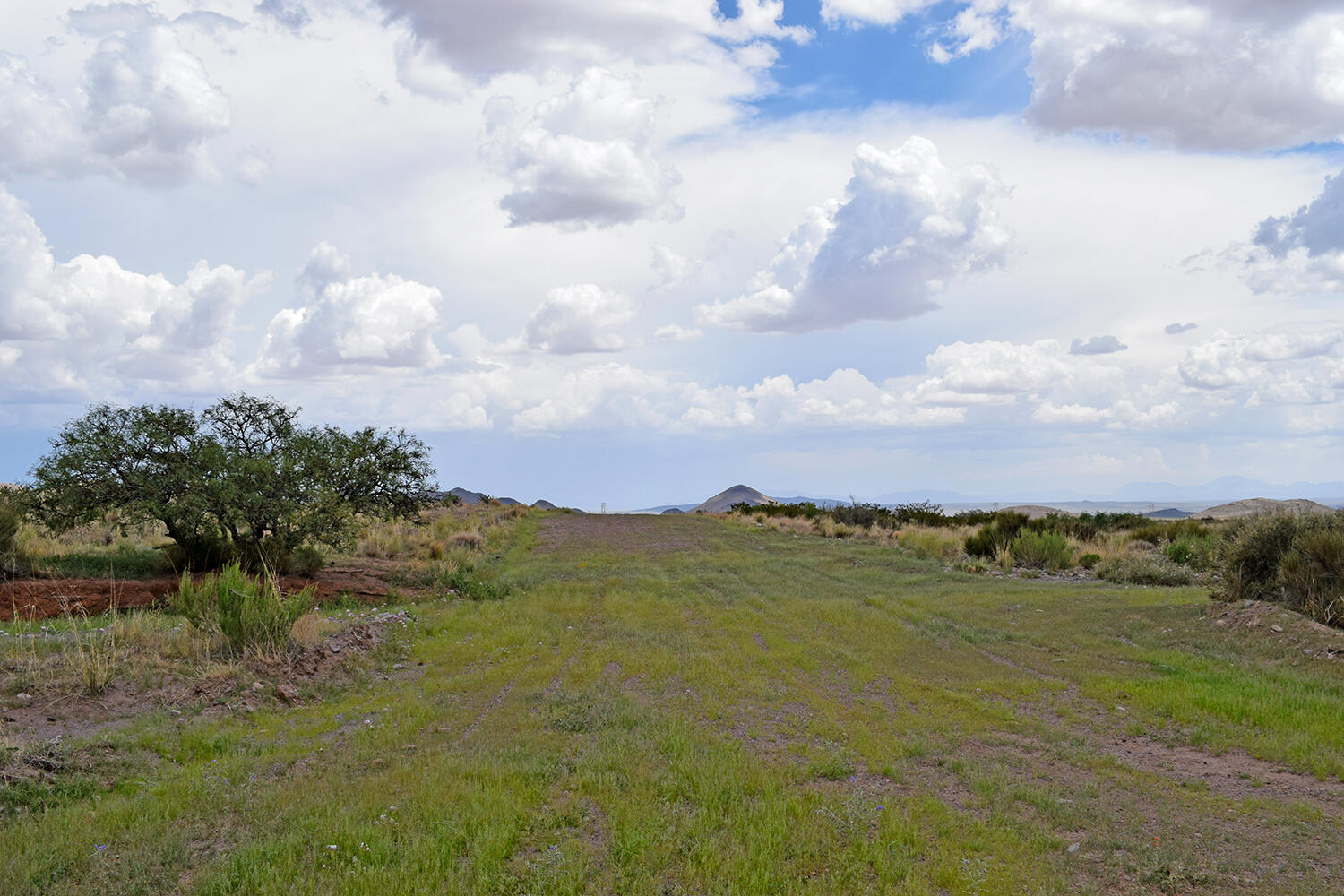 Homes for sale in San Antonio, NM | 205 Muledeer Trl, San Antonio, NM 87832 | MLS# 1031088