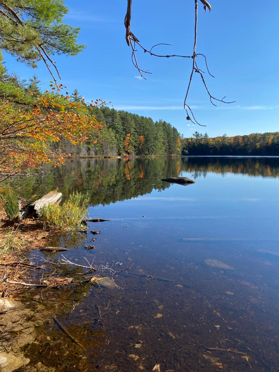 West Horsehead Lake Property 8449 Little Horsehead Hill Rd Photo 1