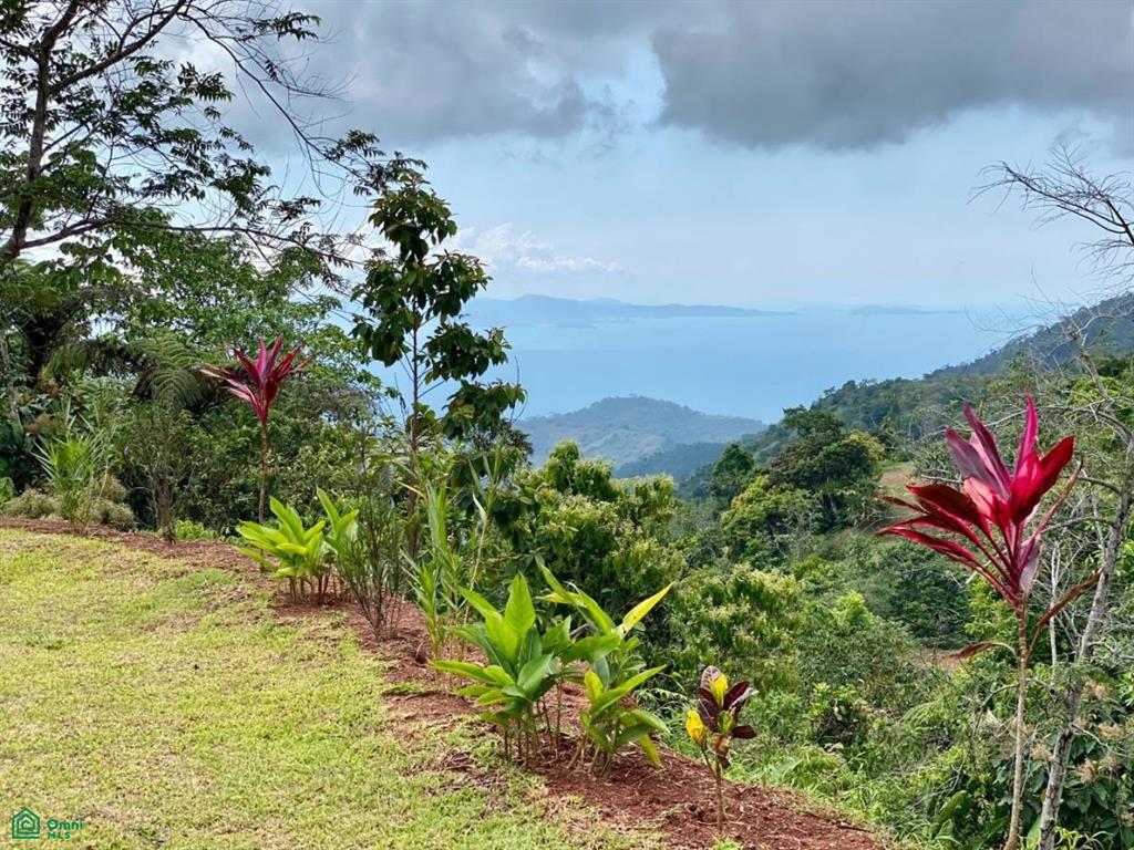 3 bed Single Family Homes For Sale in Turrubares, San Jose - 1