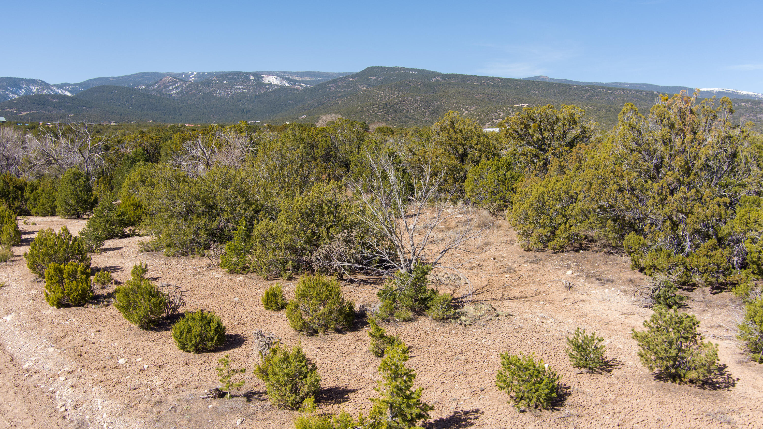 Homes for sale in Sandia Park, NM | Gunsmoke Rd, Sandia Park, NM 87047 | MLS# 1031937