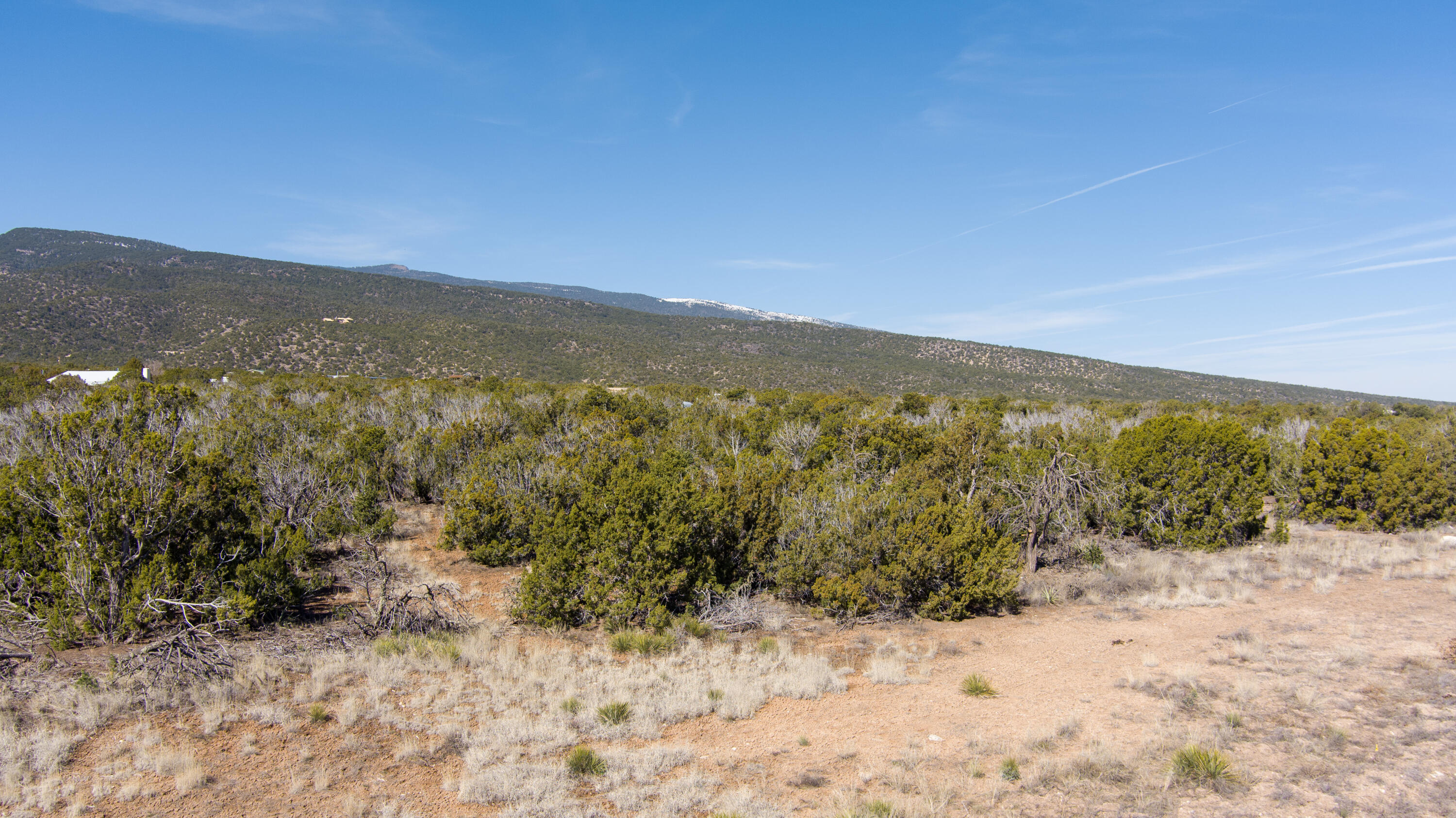 Homes for sale in Sandia Park, NM | Gunsmoke Rd, Sandia Park, NM 87047 | MLS# 1031937