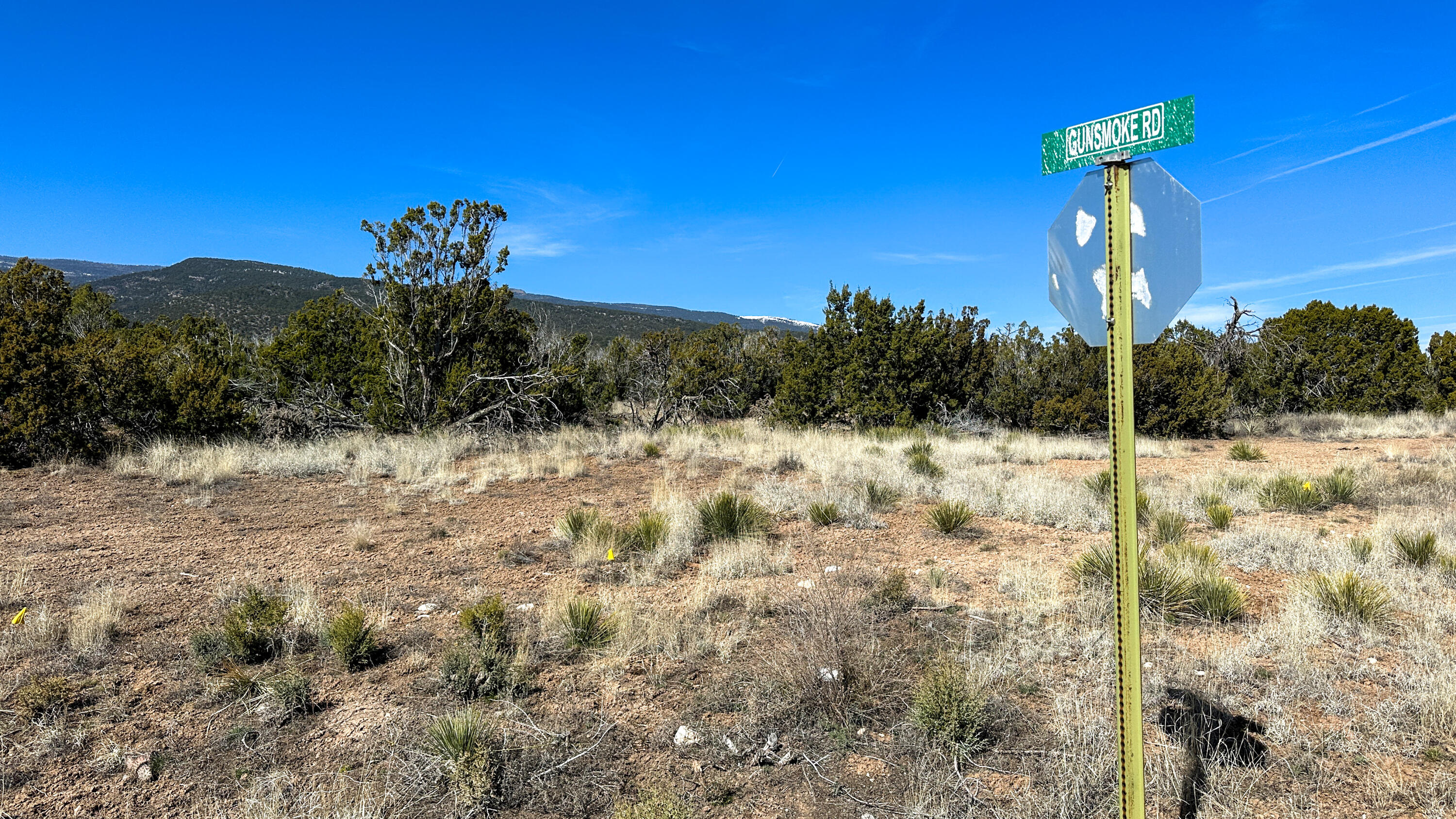 Homes for sale in Sandia Park, NM | Gunsmoke Rd, Sandia Park, NM 87047 | MLS# 1031937