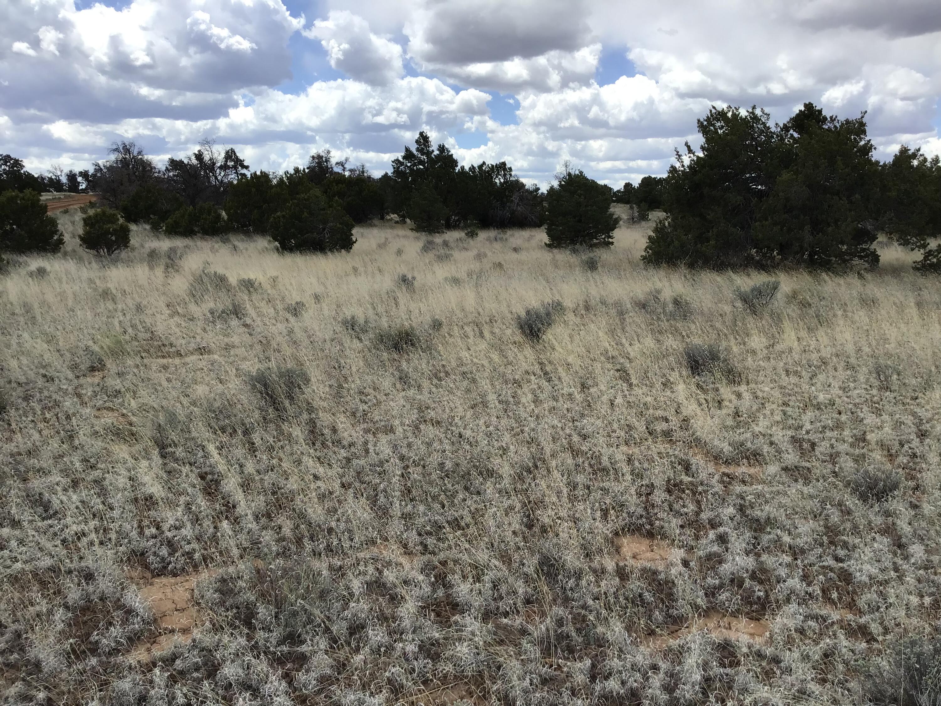 Homes for sale in Ramah, NM | Lot 38 Country Lane, Ramah, NM 87321 | MLS# 1033256