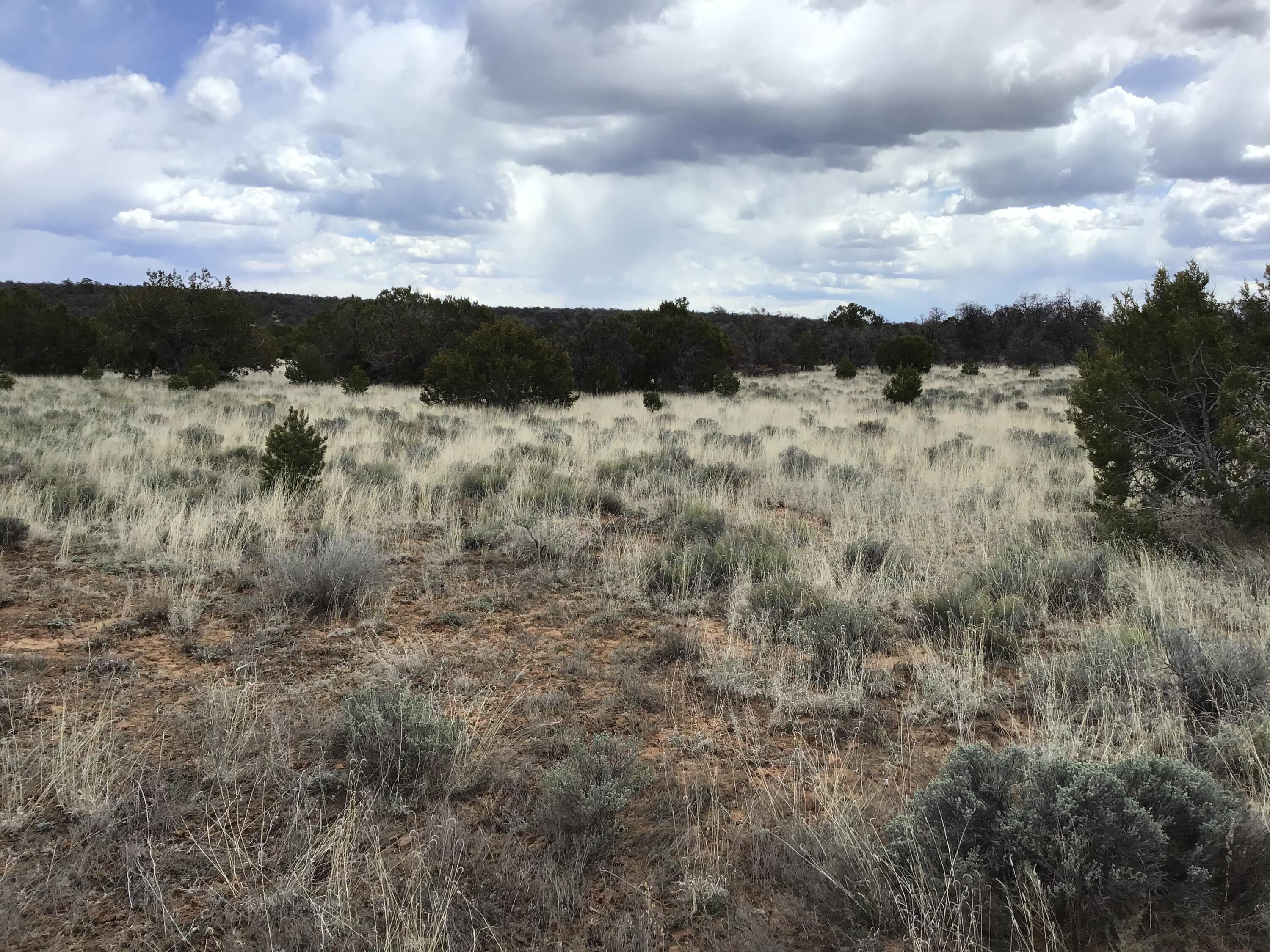 Homes for sale in Ramah, NM | Lot 38 Country Lane, Ramah, NM 87321 | MLS# 1033256