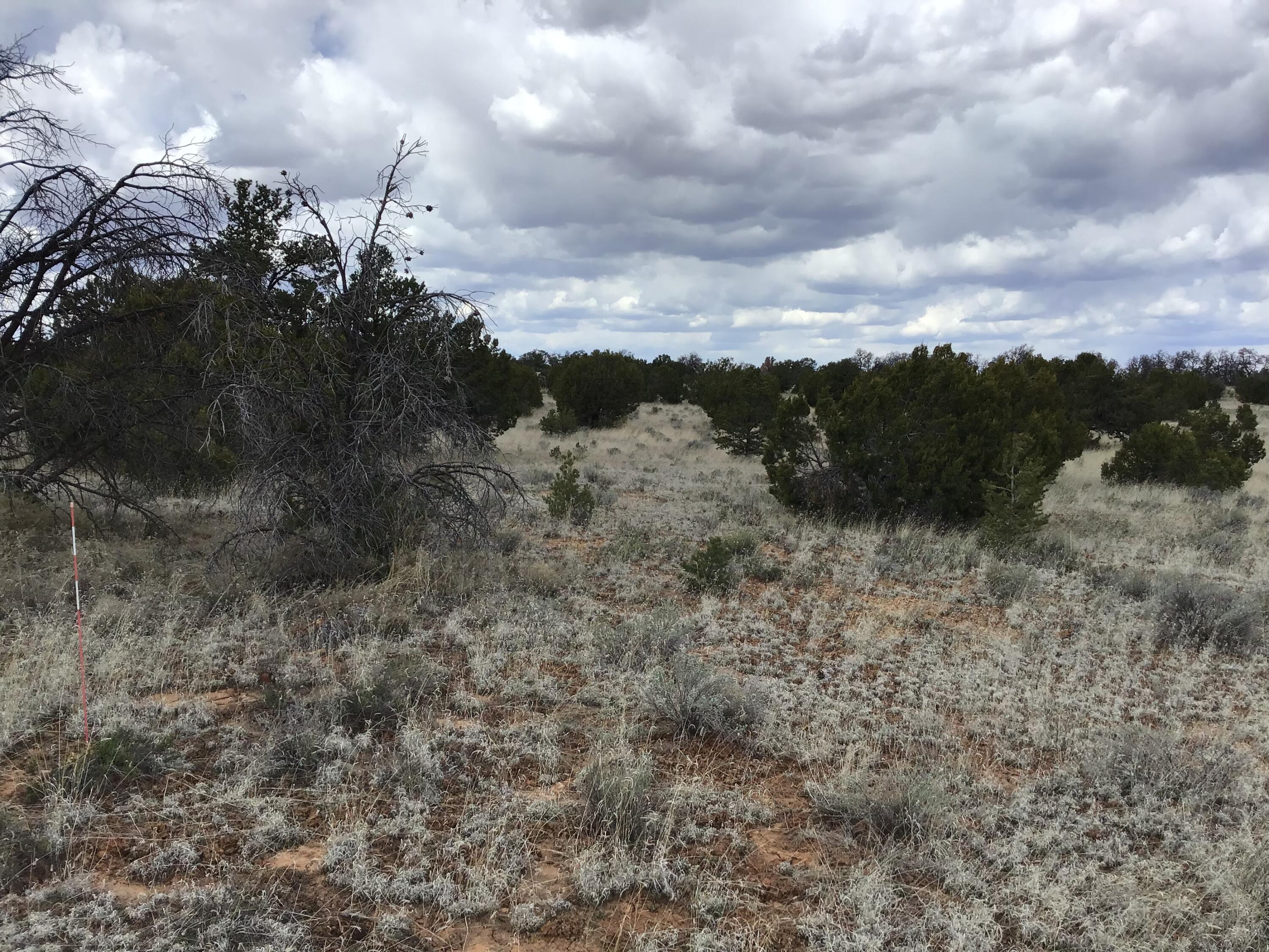 Homes for sale in Ramah, NM | Lot 38 Country Lane, Ramah, NM 87321 | MLS# 1033256