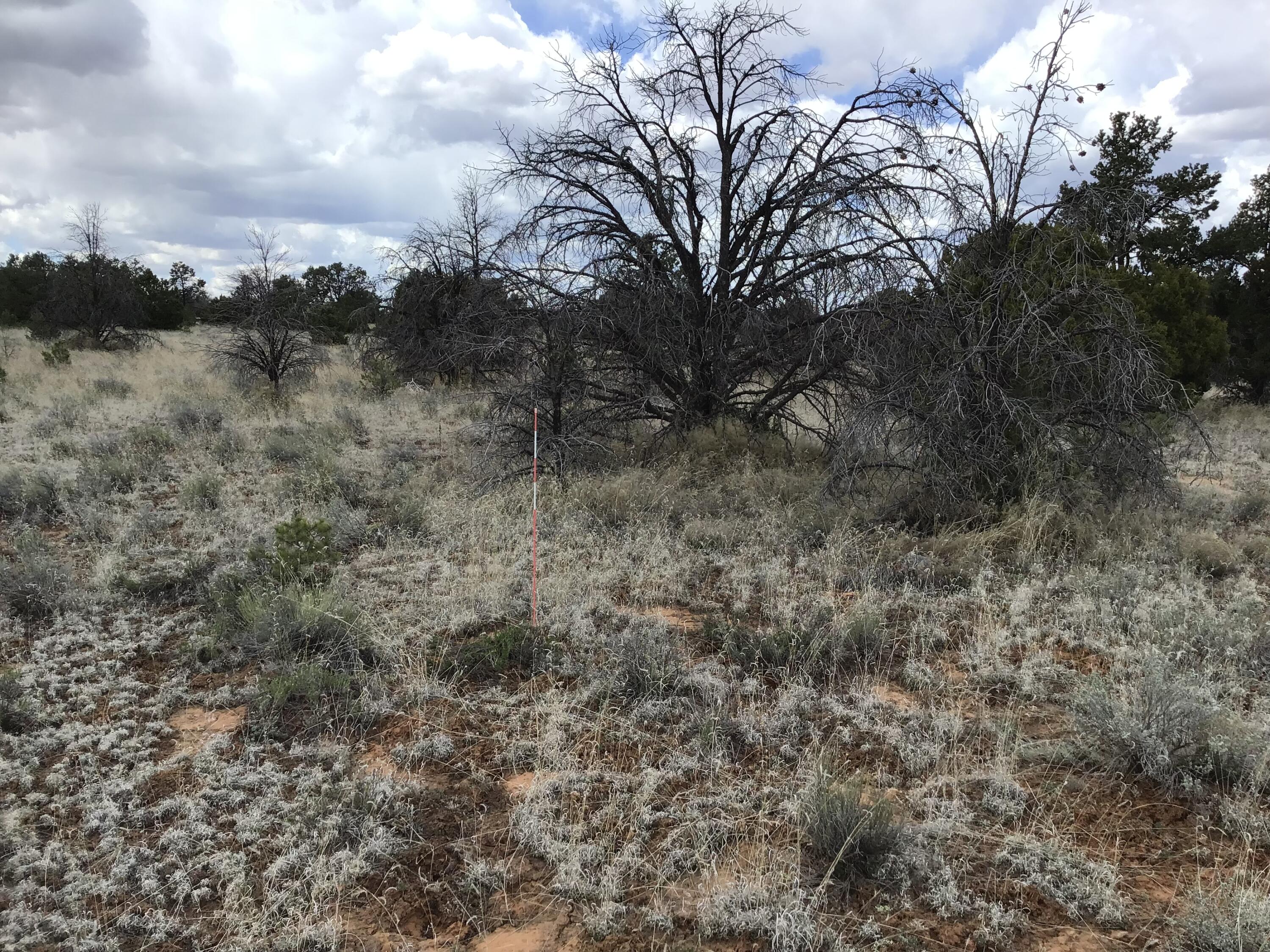 Homes for sale in Ramah, NM | Lot 38 Country Lane, Ramah, NM 87321 | MLS# 1033256