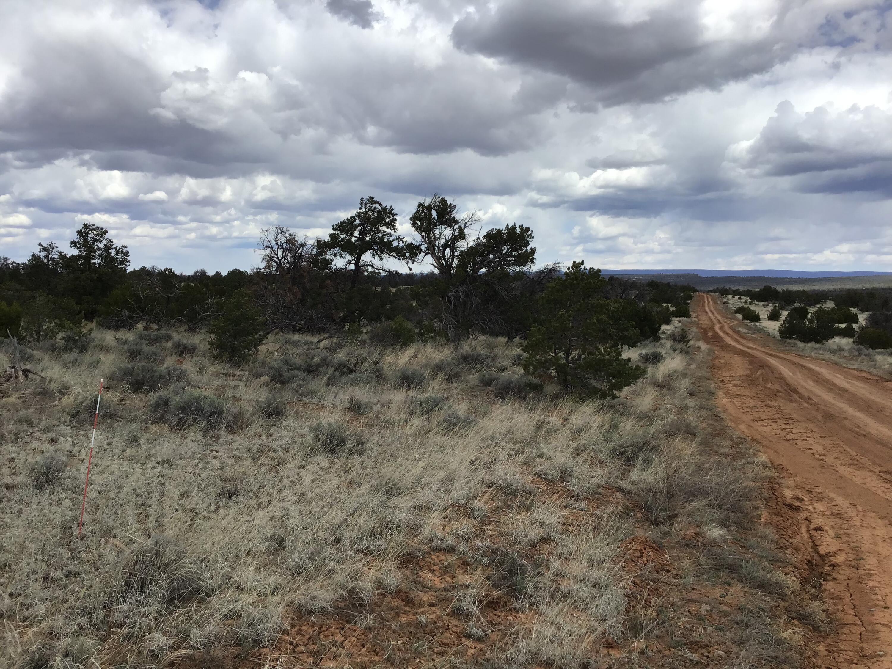 Homes for sale in Ramah, NM | Lot 39 Country Lane, Ramah, NM 87321 | MLS# 1033257