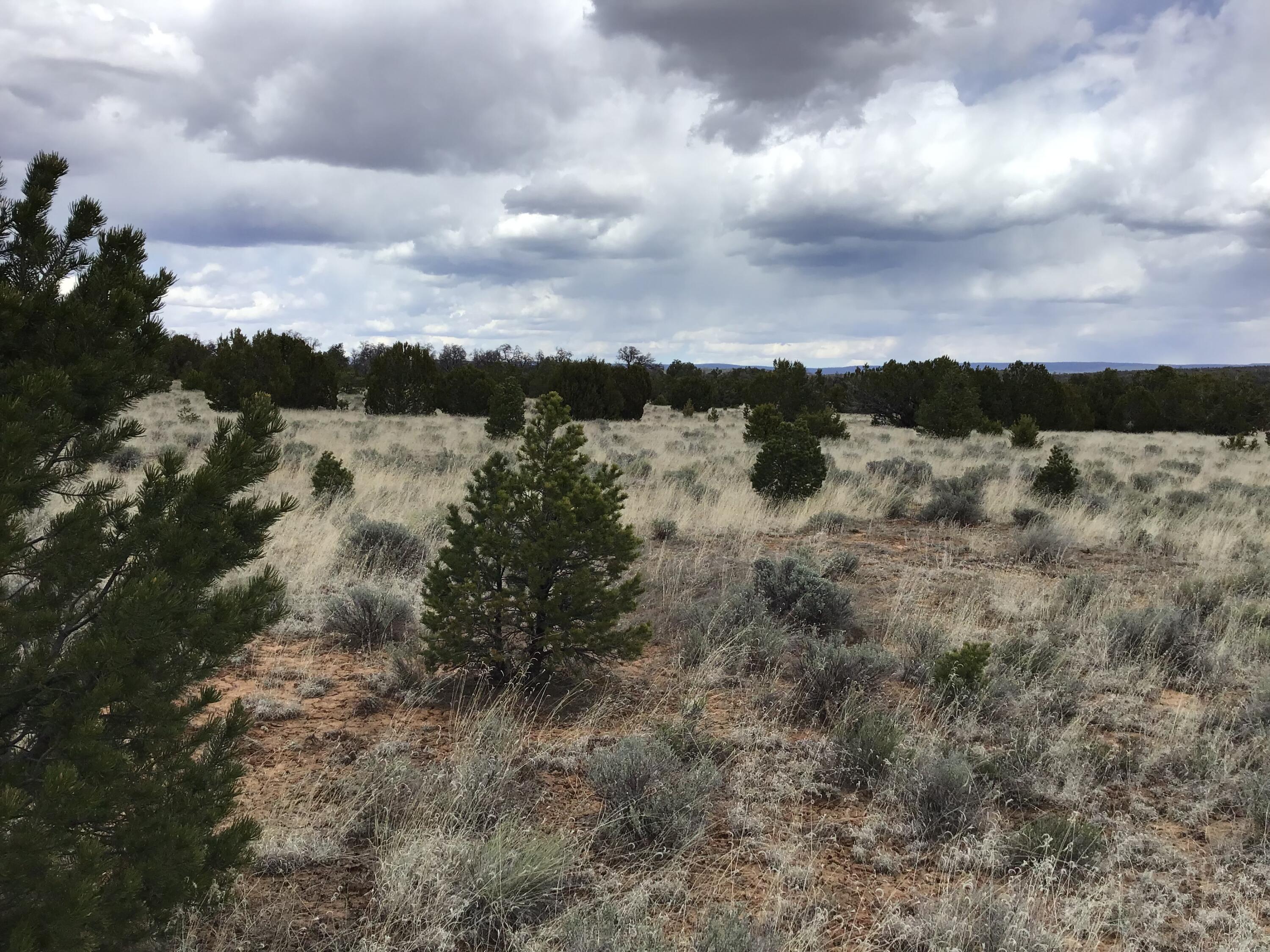 Homes for sale in Ramah, NM | Lot 39 Country Lane, Ramah, NM 87321 | MLS# 1033257