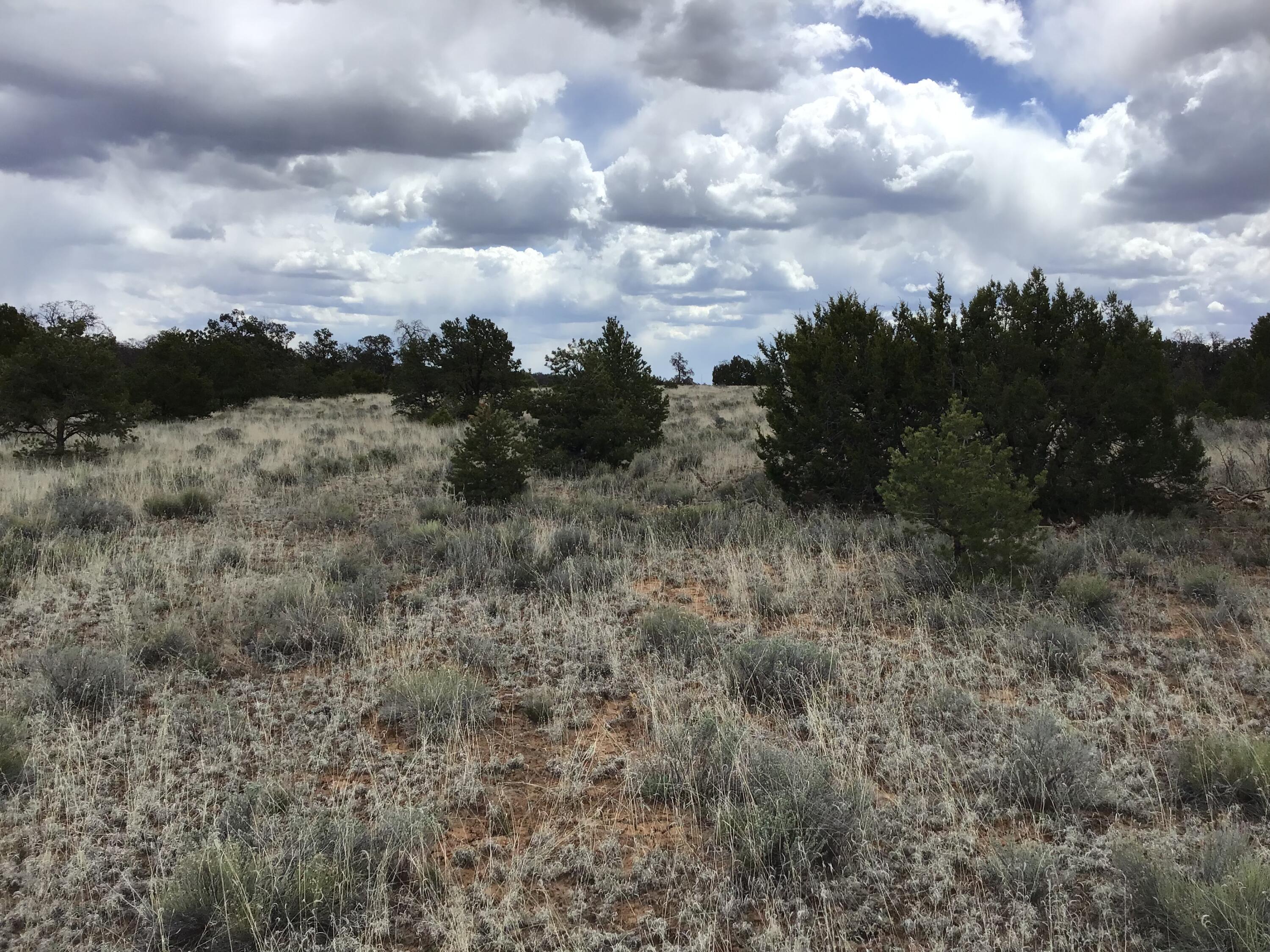 Homes for sale in Ramah, NM | Lot 39 Country Lane, Ramah, NM 87321 | MLS# 1033257