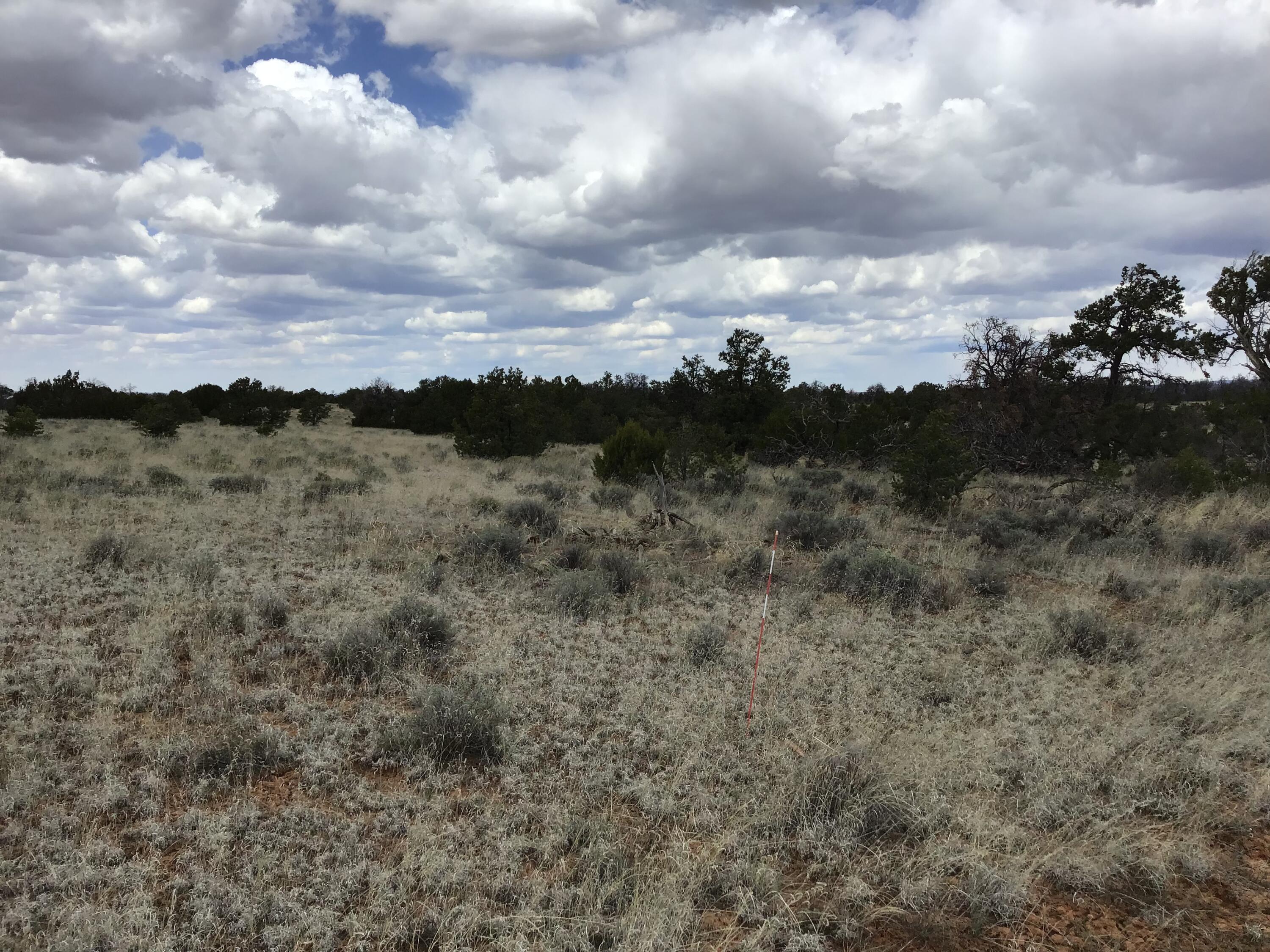 Homes for sale in Ramah, NM | Lot 39 Country Lane, Ramah, NM 87321 | MLS# 1033257