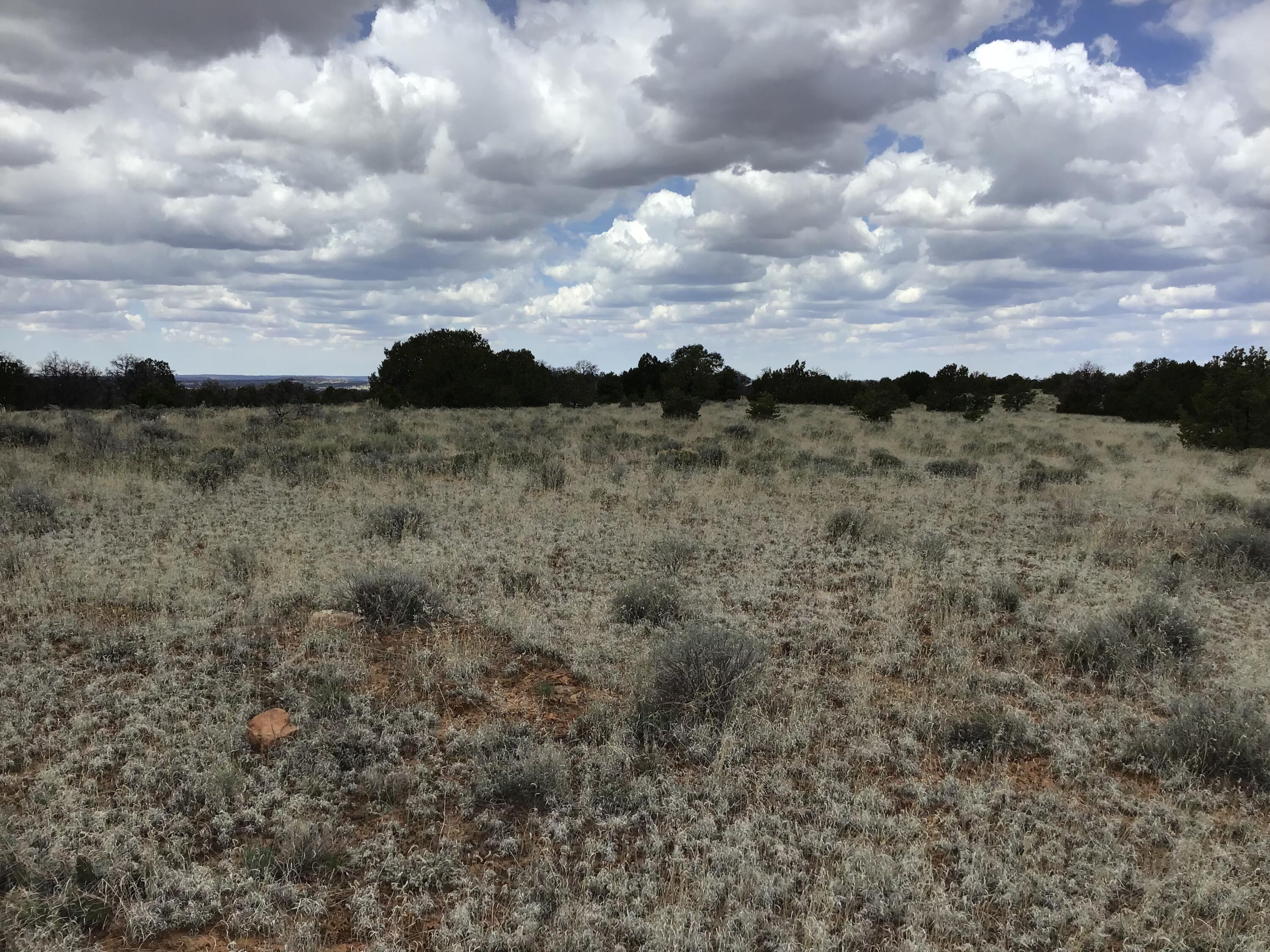 Homes for sale in Ramah, NM | Lot 39 Country Lane, Ramah, NM 87321 | MLS# 1033257