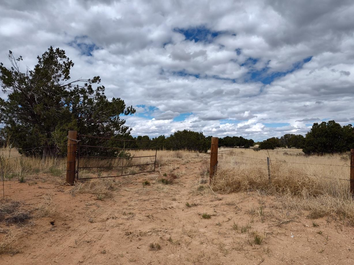 Homes for sale in Mountainair, NM | Outskirts Rd, Mountainair, NM 87036 | MLS# 1034930
