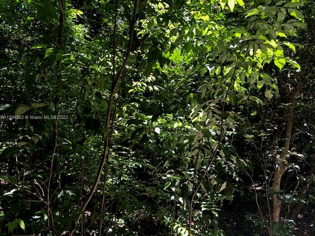 Hallandale Park No 4 Amen