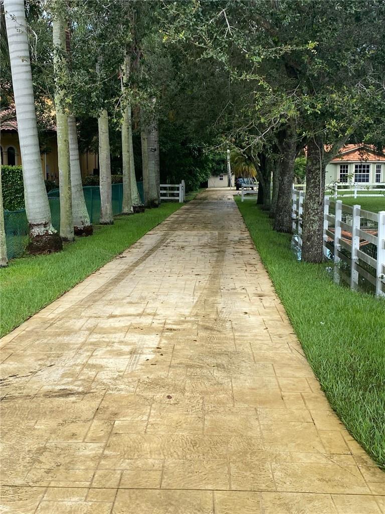 driveway leading to property with oak trees