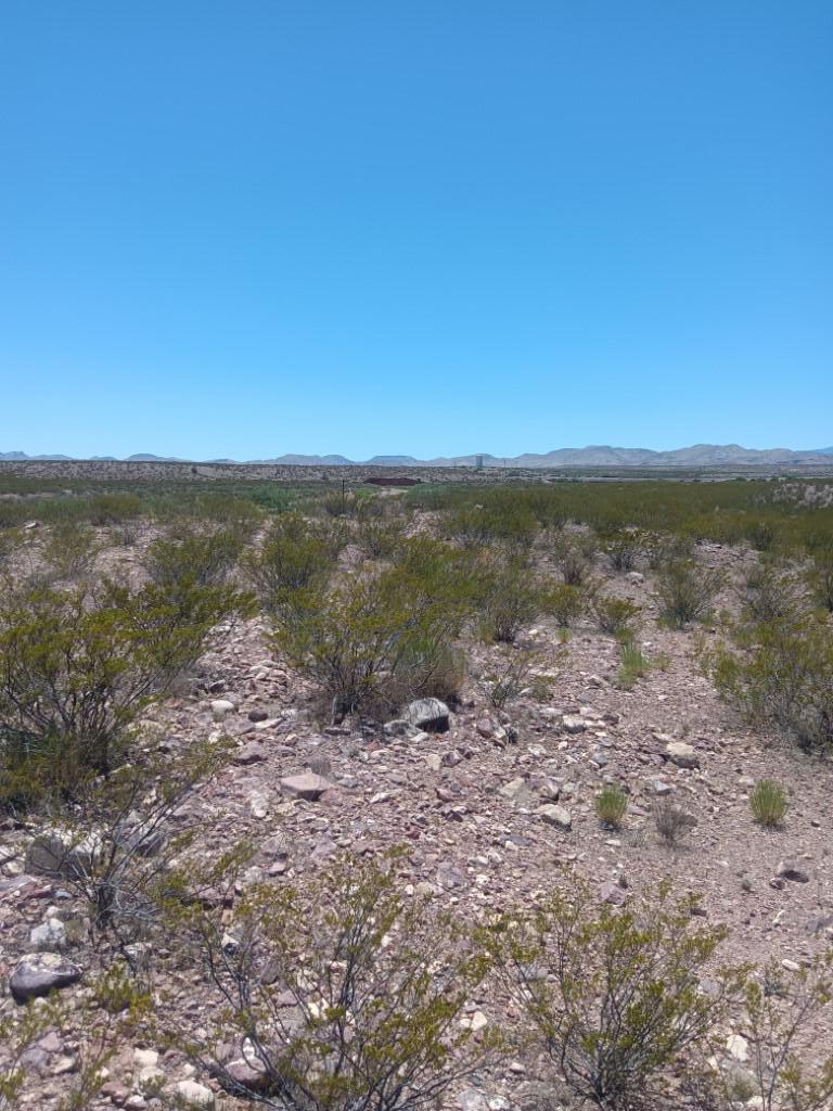 Photo 8 —  No Situs Address