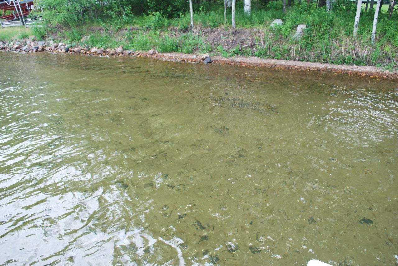 Metonga Lake Property 4576 Sportsman Ln Photo 1