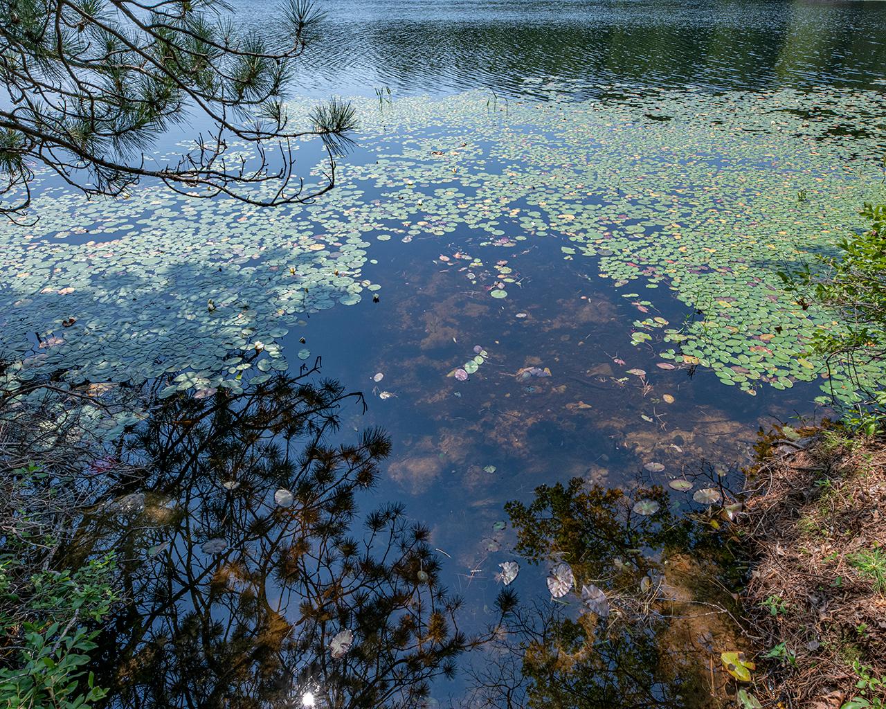 Long Lake (N) Property 6805 Long Lake Dr Photo 11