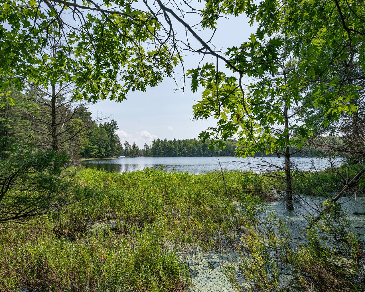 Long Lake (N) Property 6805 Long Lake Dr Photo 12