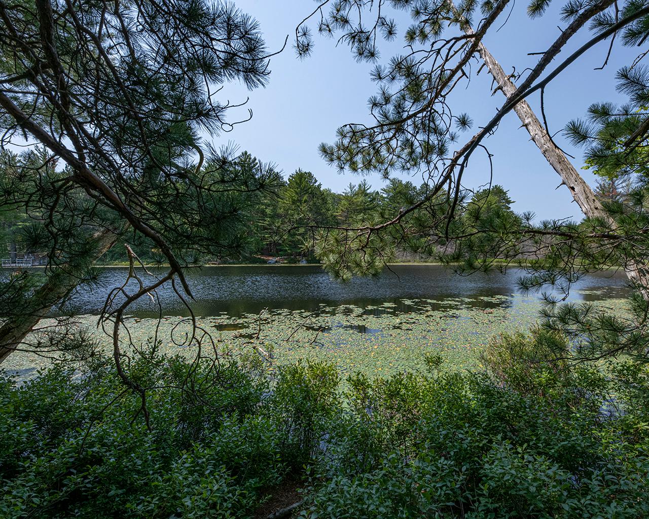 Long Lake (N) Property 6805 Long Lake Dr Photo 14