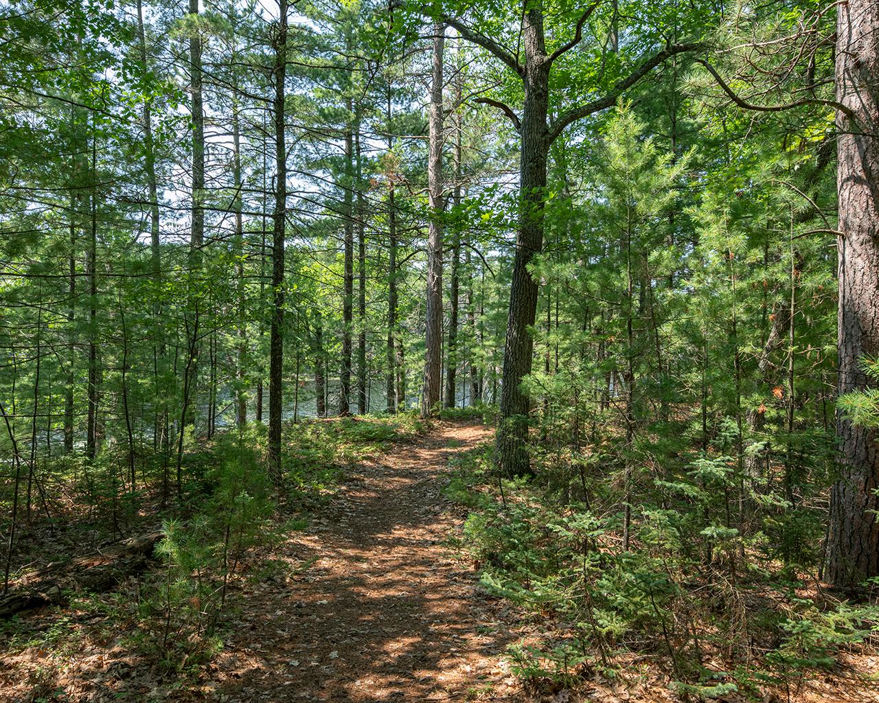 Long Lake (N) Property 6805 Long Lake Dr Photo 16