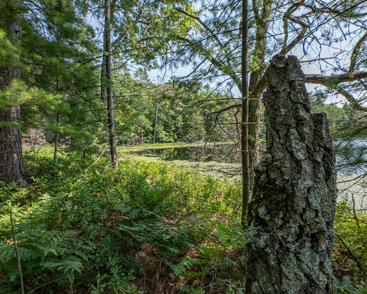 Long Lake (N) Property 6805 Long Lake Dr Photo 17