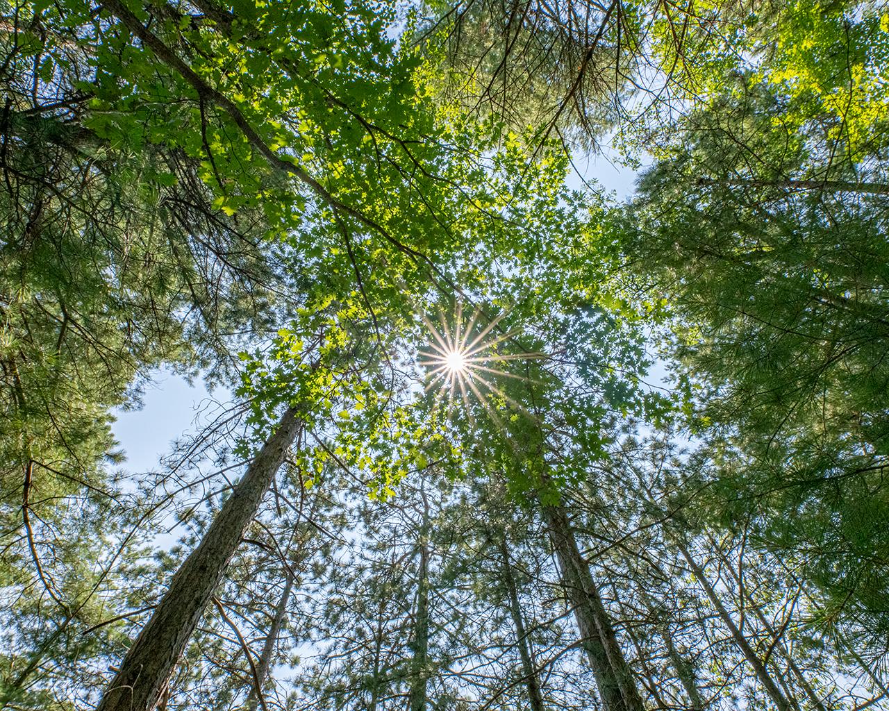 Long Lake (N) Property 6805 Long Lake Dr Photo 18