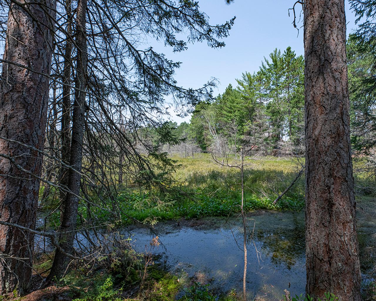 Long Lake (N) Property 6805 Long Lake Dr Photo 20